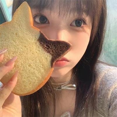 夏绿蒂的网