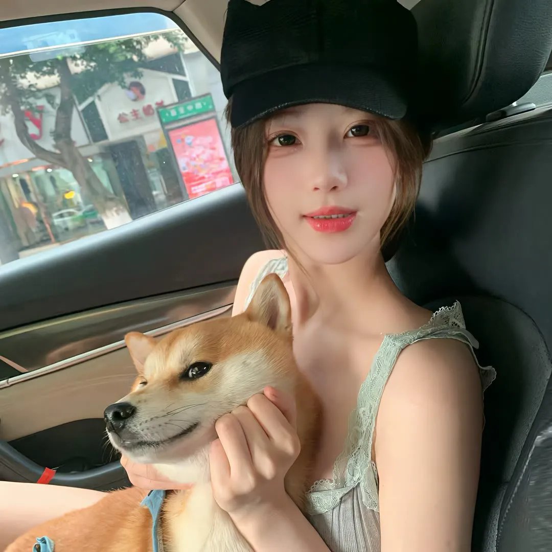 妮雯卡的黑箱日志